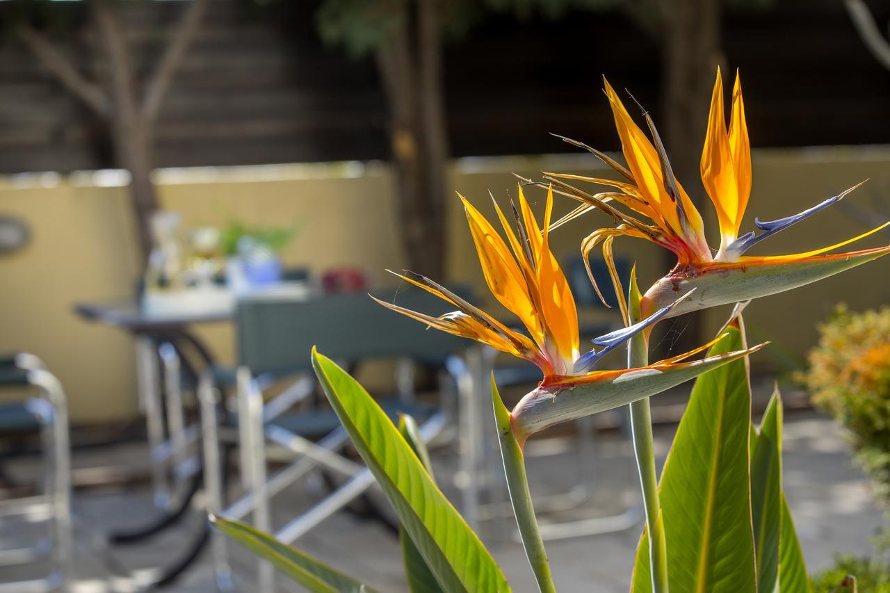 Ayia Napa Tropical Beach Villa المظهر الخارجي الصورة